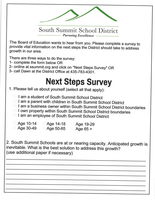 Next Steps Survey